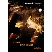 Постер книги Сжигая пред собой мосты