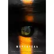 Постер книги Мечтатель