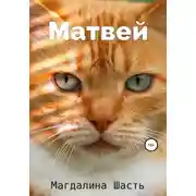 Постер книги Матвей