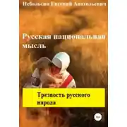Постер книги Русская национальная мысль. Трезвость русского народа