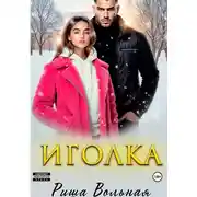 Постер книги Иголка