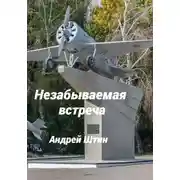 Постер книги Незабываемая встреча