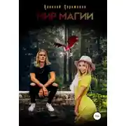 Постер книги Мир Магии
