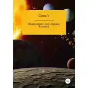 Постер книги Один корнет, или Зеркало космоса