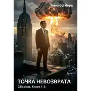 Постер книги Точка невозврата