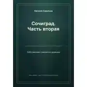 Постер книги Сочиград. Часть вторая: собственники становятся друзьями