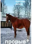 Александр Добрый - Прорыв
