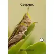 Постер книги Сверчок