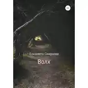 Постер книги Волх