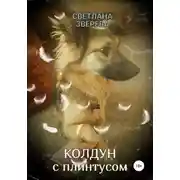 Постер книги Колдун с плинтусом