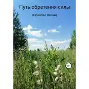Постер книги Путь обретения силы. Молитвы Жизни