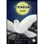 Постер книги Стремление души