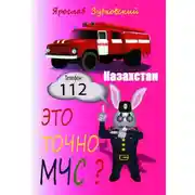 Постер книги Это точно МЧС? Казахстан