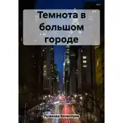 Постер книги Темнота в большом городе
