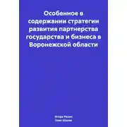 Постер книги Особенное в содержании стратегии развития партнерства государства и бизнеса в Воронежской области