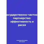 Постер книги Государственно-частное партнерство: эффективность и риски