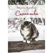 Постер книги Степашка