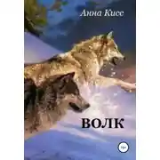 Постер книги Волк