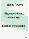Денис Прохор - Шервурдский лес, ты полон чудес. Рассказ спецназера