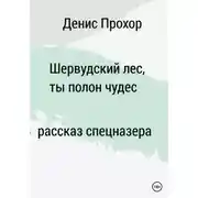 Постер книги Шервурдский лес, ты полон чудес. Рассказ спецназера