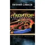 Постер книги Аудитор. Возвращение