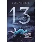 Постер книги 13 минут