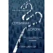 Постер книги Серебряная дорога