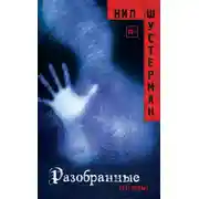 Постер книги Разобранные
