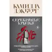 Постер книги Серебряные крылья