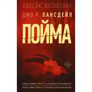 Постер книги Пойма