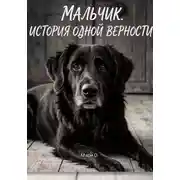 Постер книги Мальчик. История одной верности