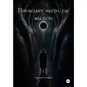 Постер книги Последнее место, где мы есть