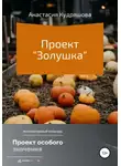 Анастасия Кудряшова - Проект «Золушка»