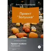 Постер книги Проект «Золушка»