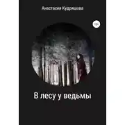 Постер книги В лесу у ведьмы