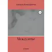 Постер книги Междулетье