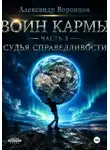 Александр Воронцов - Воин Кармы. Часть 3. Судья Справедливости