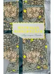 Елена Литвинская - Матильда Кшесинская. Муза последних Романовых