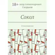 Постер книги Сокол. Стихотворения