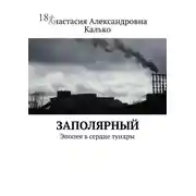 Постер книги Заполярный. Эпопея в сердце тундры