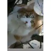 Постер книги Степка