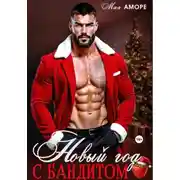 Постер книги Новый год с бандитом
