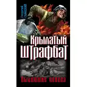 Постер книги Крылатый штрафбат. Пылающие небеса (сборник)