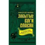 Постер книги Забытые боги славян