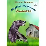Постер книги Медведь по кличке Заплатка