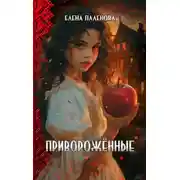 Постер книги Приворожённые