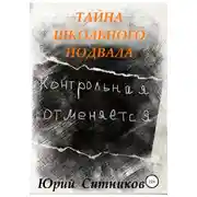 Постер книги Тайна школьного подвала