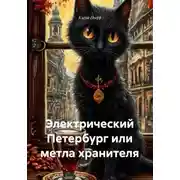 Постер книги Электрический Петербург или метла хранителя