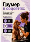 Мария Власова - Грумер в соцсетях: уход дома, доверие и первые вопросы клиента