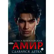 Постер книги Амир. Сдавайся, детка